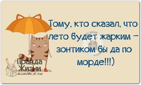 Анекдоты про лето в картинках