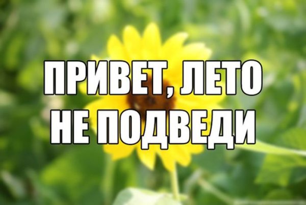 С первым днем лета прикольные