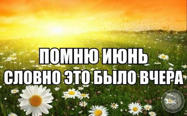 Веселые летние поздравления