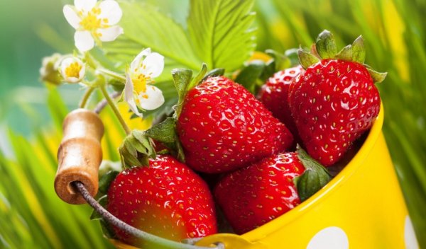 Пейзаж с радугой