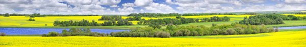 Природа панорама высокого разрешения