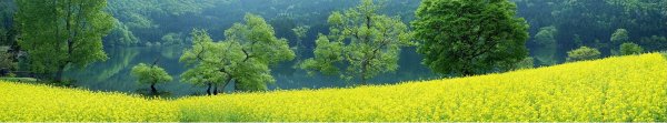 Панорамы природы горизонтальные