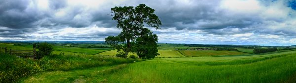 Природа Россия панорама