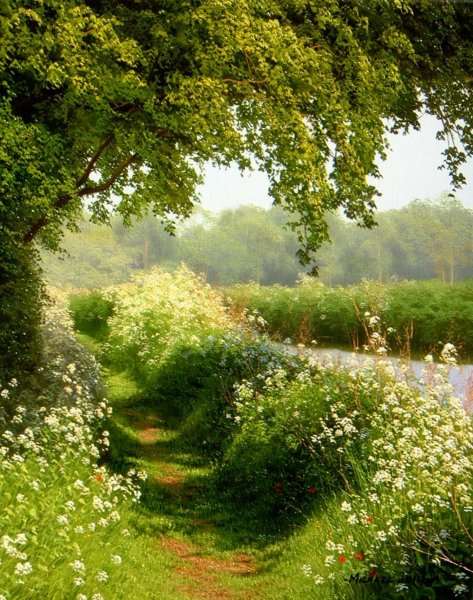 Красивые поздравления с добрым утром природа