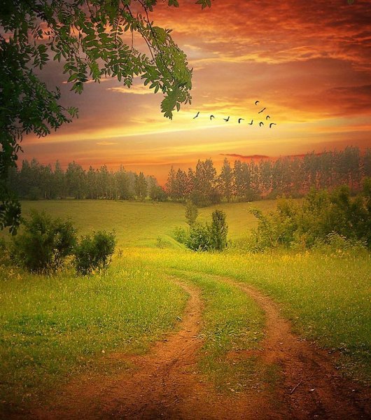 Бабье лето рисунки