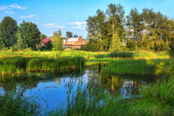 Природа деревня