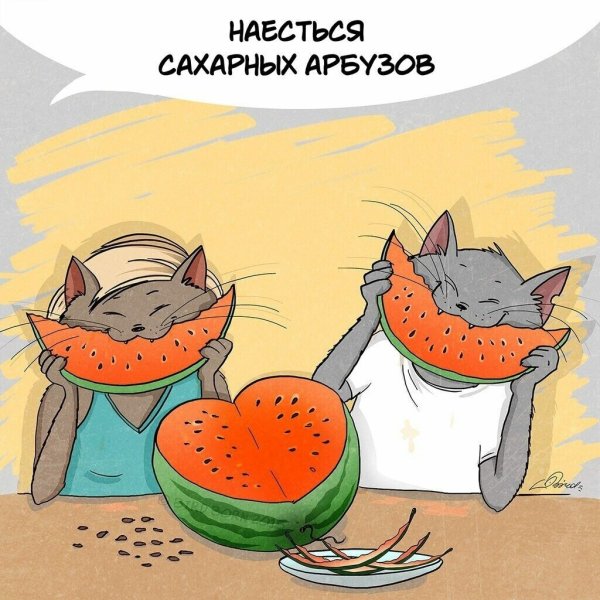 Веселые летние поздравления