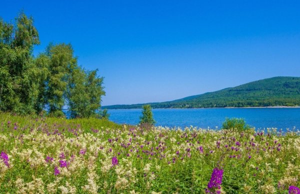 Цветущая Поляна Советская гавань