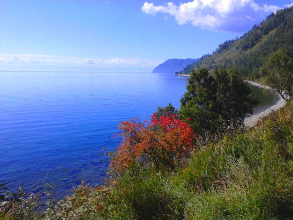 Природа Россия Байкал Листвянка