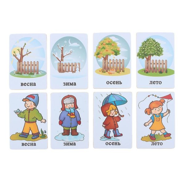 Береза весной и летом