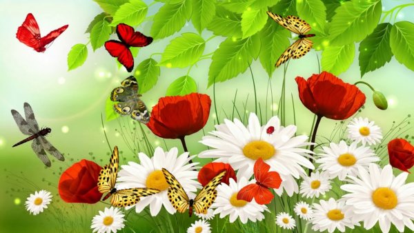 Здравствуй лето