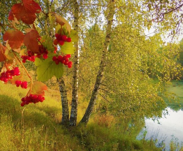 Осенний мотив