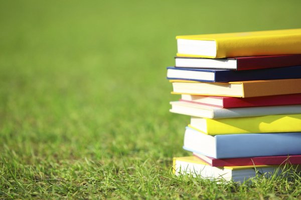 Летняя школа картинки