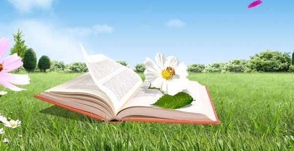 Лето с книгой в библиотеке