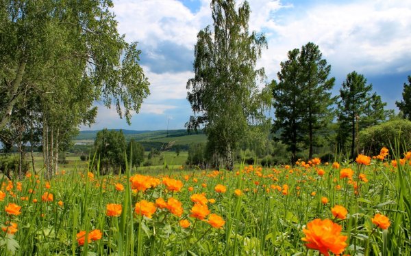 Красноярский край природа лето