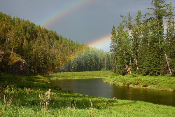 Природа России Сибирь