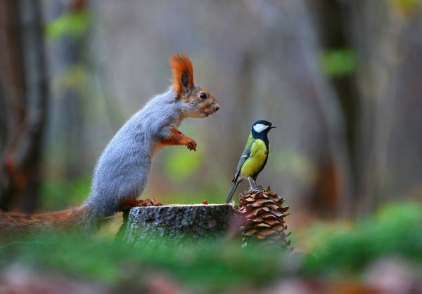 Вадим Трунов фотограф