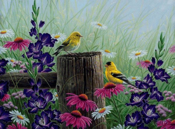 Пейзаж с птичками