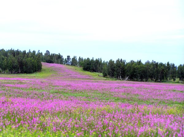 Национальный парк Салаир в Алтайском крае