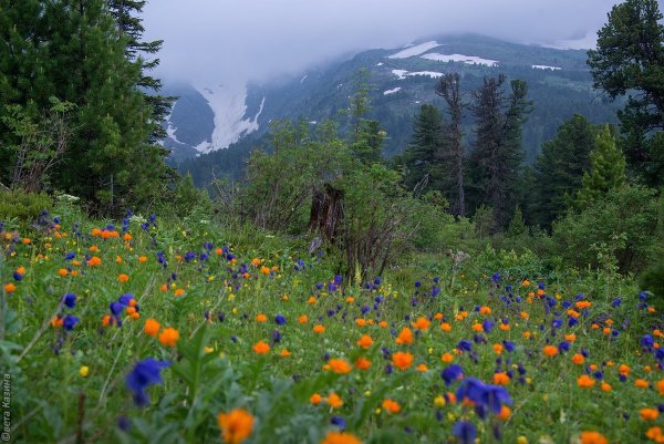 «Великие реки Сибири. Урал»