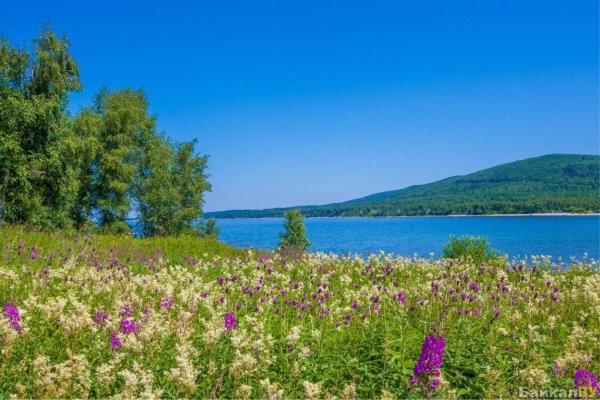 Красивая природа Сибири летом