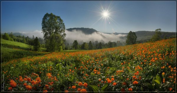 Пейзажи природы