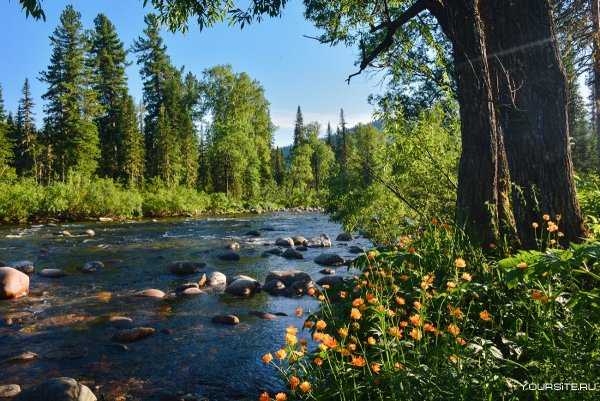 Весна в России