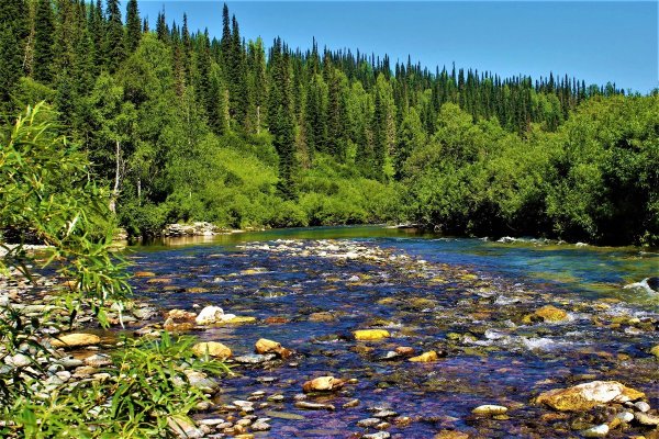 Июль Сибирь