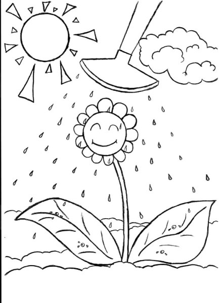 Лето раскраска для детей