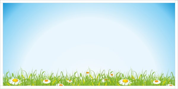 Летний фон для презентации