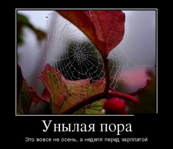 Летние демотиваторы смешные