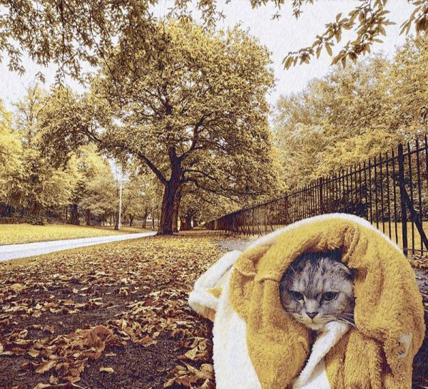 Какие бабы такое и лето