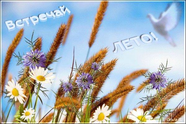 Открытка встречаем лето