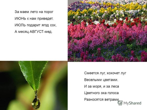 Стих вот и лето на пороге
