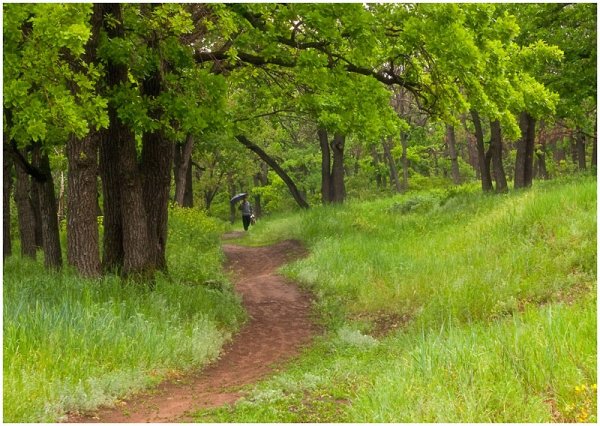 Правда лето на пороге? Картинки