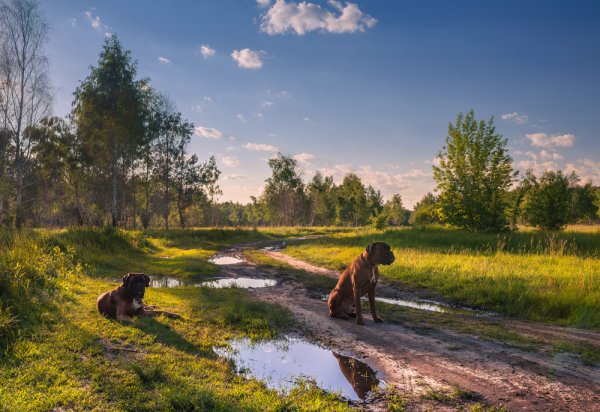 Лето на пороге