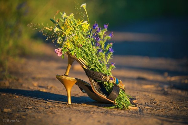 Лето уходит