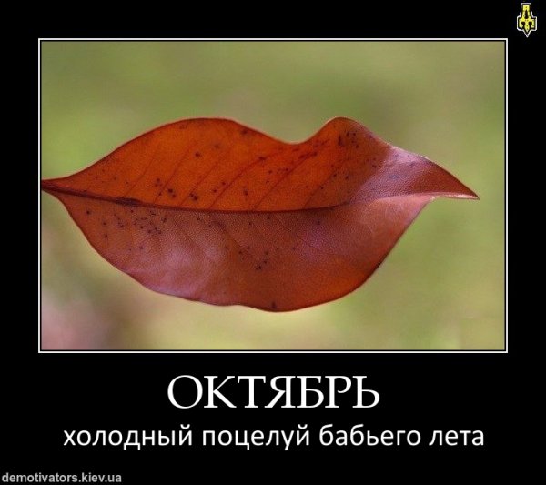 Смешной октябрь