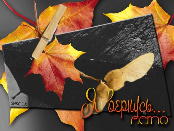 Бабье лето закончилось