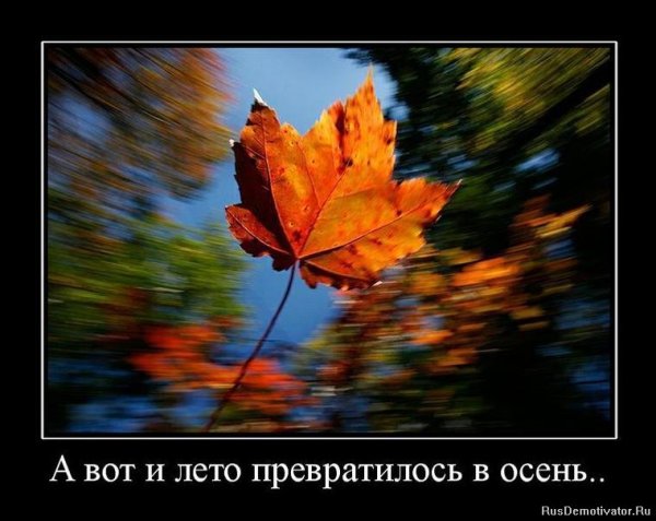 Осенний мотиватор