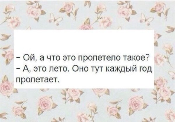 Вредный Ежик