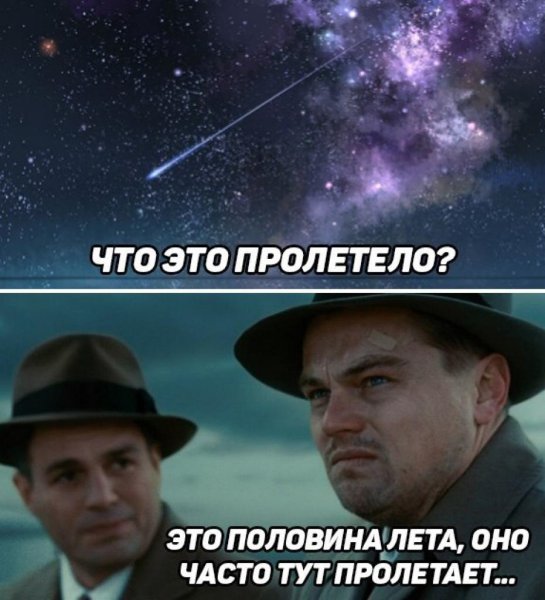 Стрекоза и муравей прикол