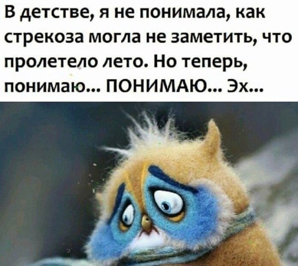 Быстро лето прошло