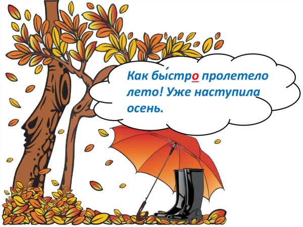 Половина лета