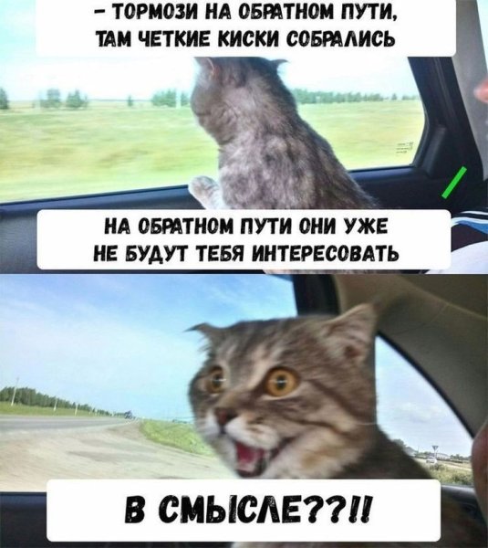 Открытка где лето