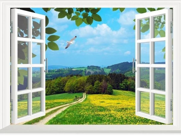 Открытое окно