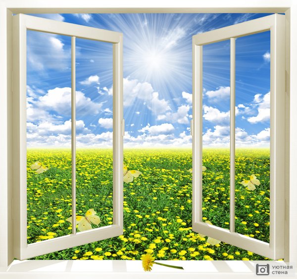 Фотообои окно