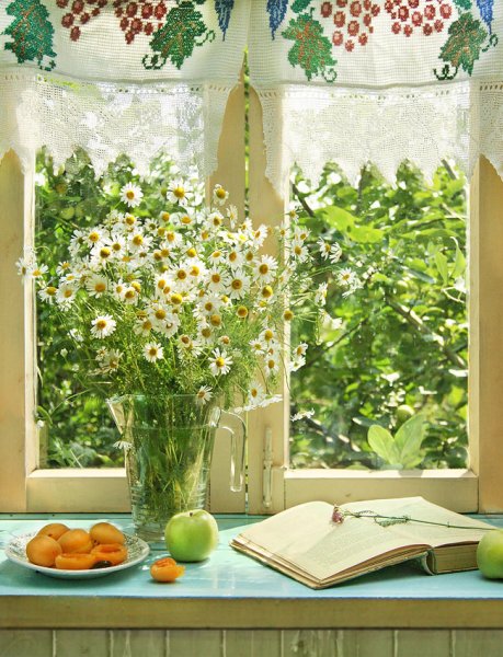 Летнее утро из окна