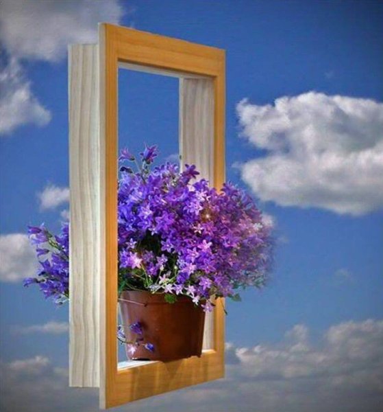 Открытое окно с цветами
