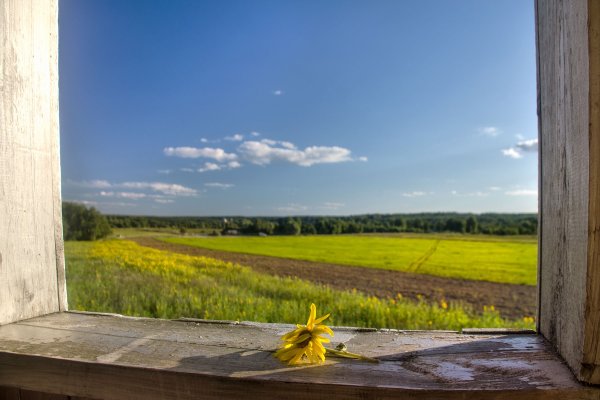 Вид из окна в деревне